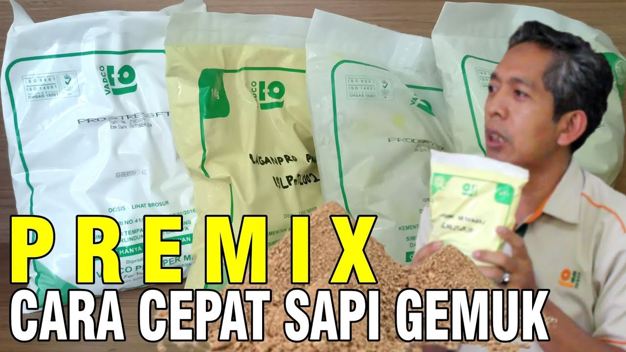 
                                 Cara-Cepat-Sapi-Gemuk-Dengan-Premix